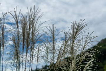世界遺産　五箇山　相倉合掌集落