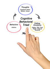 Cognitive Behavioral triad