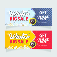 modern winter sale banner