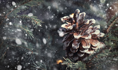 Christmas or New Year blurred snow background with festive fir tree and pine cones, selective focus - Powered by Adobe