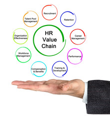  HR Analytic Value Chain.