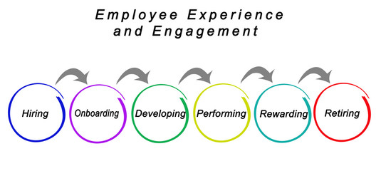 Employee Experience and Engagement.
