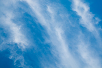 Fototapeta na wymiar blue sky background with white cloudy .