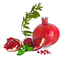 Pomegranate fruit and twig  isolated on white background