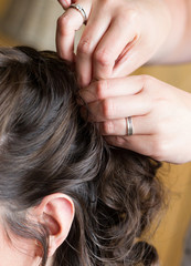 Fototapeta premium Hand of a hairstylist