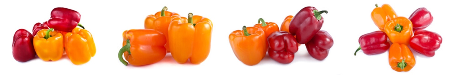 Capsicum annuum cultivars. Collage