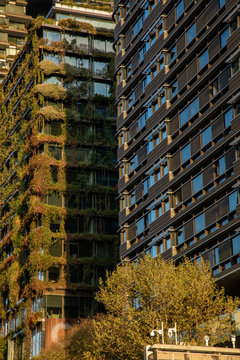 Edificios
