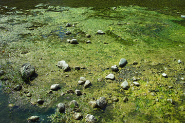 Beautiful Nature Background