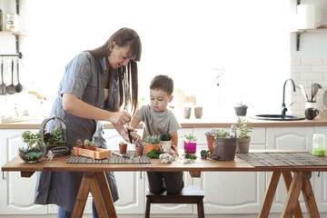 mother and son transplant plants at table