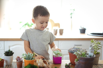 boy transplants succulents at table, help mom.