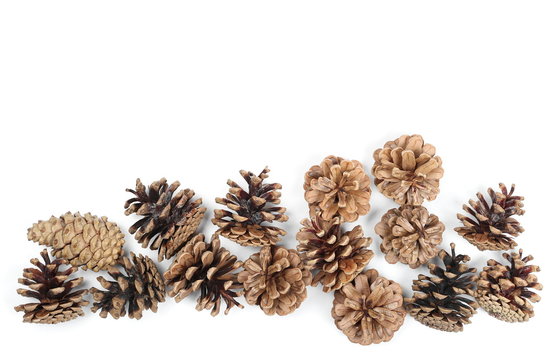 Pine cones isolated on white background, top view