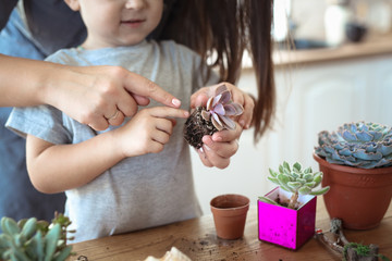 mom and son study and care together plants
