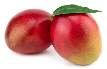 Two whole mangoes with green leaf isolated on white background Clipping Path