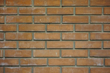 brick wall