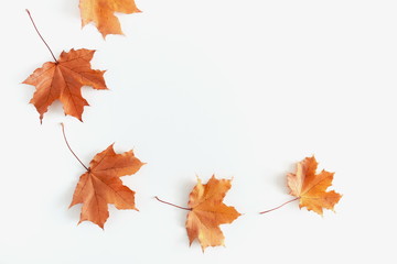 Autumn composition. Frame made of colorful leaves on white background. Autumn, fall concept. Flat lay, top view, copy space. 