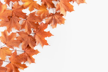 Autumn composition. Frame made of colorful leaves on white background. Autumn, fall concept. Flat lay, top view, copy space 