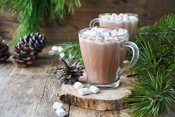 Cocoa with marshmallows in glass mugs on a wooden background
