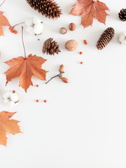 Autumn composition. Frame made of orange leaves, cotton flowers, pine cone, anise star, berries,...