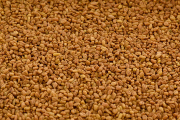 Fenugreek Seed (Methi Dana),  A useful herb for food  and medication purposes.