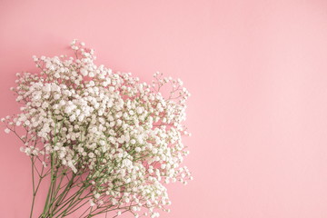 Small white flowers on pastel pink background. Happy Women's Day, Wedding, Mother's Day, Easter, Valentine's Day. Flat lay, top view, copy space 