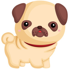 a dog with a pug pure breed