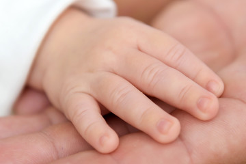 Hand of the newborn. The tenderness of motherhood is in the details. Procreation in childbirth and love. 