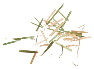 Green and yellow cut grass stems, pieces isolated on white background and organic texture, top view
