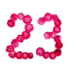 number 23 from flowers of a red and pink rose on a white background. Typographical element for design. Flower numbers, date, isolate, isolated