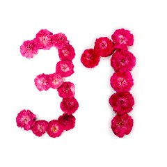 number 31 from flowers of a red and pink rose on a white background. Typographical element for design. Flower numbers, date, isolate, isolated
