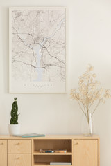 Vertical view of map, flower in a glass vase and green plant in white pot on wooden shelf, real...