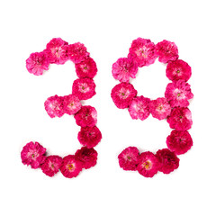 number 39 from flowers of a red and pink rose on a white background. Typographical element for design. Flower numbers, date, isolate, isolated