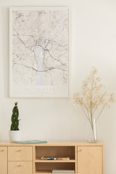 Vertical view of map, flower in a glass vase and green plant in white pot on wooden shelf, real photo