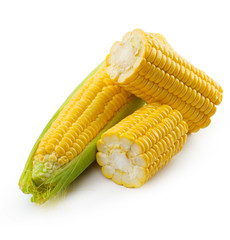 Corn on a white background