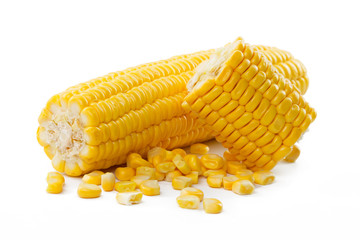 Corn on a white background