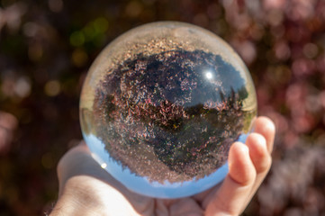 Closeup of a glass ball