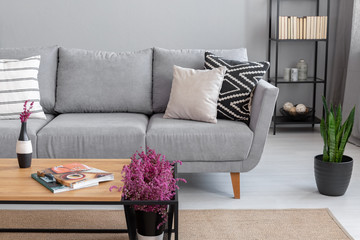 Magazines and heather on the wooden table near comfortable grey sofa with pillows, real photo with copy space on the wall