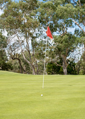 Obraz premium golf ball on a tee