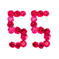 number 55 from flowers of a red and pink rose on a white background. Typographical element for design. Flower numbers, date, isolate, isolated