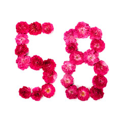 number 58 from flowers of a red and pink rose on a white background. Typographical element for design. Flower numbers, date, isolate, isolated