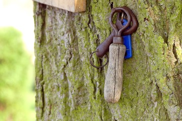 Öffner Flaschenöffner color farbig