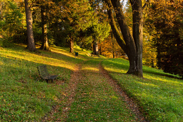 Autumn, Fall scene. Beautiful Autumnal park with pathway. Beauty nature scene.