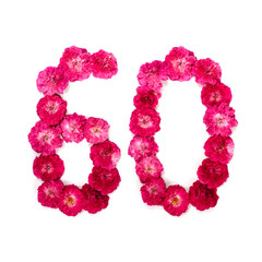 number 60 from flowers of a red and pink rose on a white background. Typographical element for design. Flower numbers, date, isolate, isolated