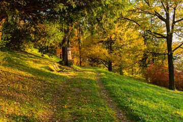 Autumn, Fall scene. Beautiful Autumnal park with pathway. Beauty nature scene.