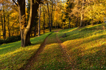 Naklejka premium Autumn, Fall scene. Beautiful Autumnal park with pathway. Beauty nature scene.