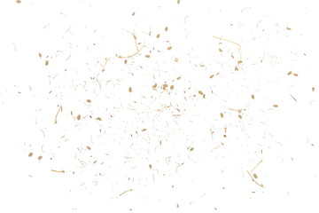 Yellow grass seeds isolated on white background, organic texture, top view