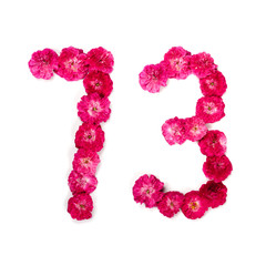 number 73 from flowers of a red and pink rose on a white background. Typographical element for design. Flower numbers, date, isolate, isolated