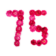number 75 from flowers of a red and pink rose on a white background. Typographical element for design. Flower numbers, date, isolate, isolated