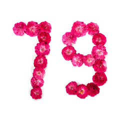 number 79 from flowers of a red and pink rose on a white background. Typographical element for design. Flower numbers, date, isolate, isolated