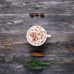 Cup of hot cocoa with marshmallows on wooden background with evergreen branches, pine cones, cinnamon sticks and anise stars. Traditional winter hot drink.