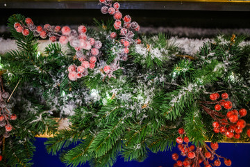 Image of New Year branch of fir tree with red berries, snow